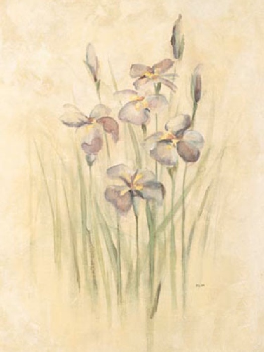 Cheri Blum Purple Dream Irises